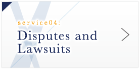 Disputes and Lawsuits